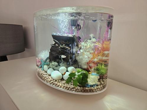 biOrp LOOP 30 MCR wit inclusief ornamenten, Dieren en Toebehoren, Vissen | Aquaria en Toebehoren, Zo goed als nieuw, Ophalen