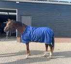 Horseware 200 gr deken, Dieren en Toebehoren, Paarden en Pony's | Dekens en Dekjes, Ophalen of Verzenden, Gebruikt