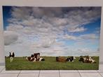 Foto op canvas 100x150, Ophalen