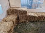 Strobalen (decoratie, paarden, konijnen), Dieren en Toebehoren, Ophalen, Vee