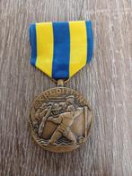 US Navy expedition medaille, Verzamelen, Militaria | Algemeen, Ophalen of Verzenden, Marine, Amerika, Lintje, Medaille of Wings