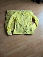 Zgan anky vest s met anky pad, Ophalen of Verzenden, Zo goed als nieuw, Dressuur, Bovenkleding