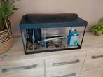 Auqarium +-45 liter ophalen in Emmerich am Rhein, Dieren en Toebehoren, Ophalen, Gebruikt, Leeg aquarium