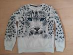 Witte trui met sneeuwpanter maat 158-164, Gebruikt, C&A, Meisje, Trui of Vest