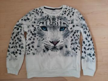 Witte trui met sneeuwpanter maat 158-164  beschikbaar voor biedingen