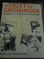 Verzet in Groningen - Niemeijer en Mulder, Ophalen of Verzenden, 20e eeuw of later, Gelezen