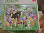 Riding school, Ophalen of Verzenden, 500 t/m 1500 stukjes, Zo goed als nieuw, Legpuzzel