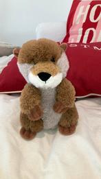 Hema otter, Ophalen of Verzenden, Zo goed als nieuw, Overige typen