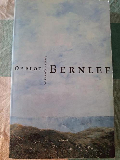 Bernlef - Op slot, Boeken, Literatuur, Zo goed als nieuw, Nederland, Ophalen of Verzenden