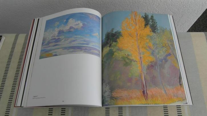 FLORIS BRINKMAN ; schitterend boek, goedkoop, Boeken, Kunst en Cultuur | Beeldend, Zo goed als nieuw, Schilder- en Tekenkunst