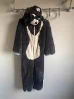 Efteling beer onesie maat 110/116, Kinderen en Baby's, Carnavalskleding en Verkleedspullen, Ophalen of Verzenden, Zo goed als nieuw