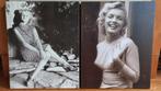2 canvasdoeken Marilyn Monroe, Ophalen, Minder dan 50 cm, 50 tot 75 cm, Zo goed als nieuw