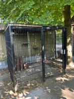Te koop: Buitenren, Meerdere dieren