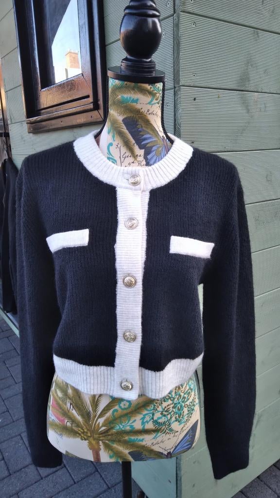 Zwarte vest met goudkleurige sierknopen M, Kleding | Dames, Maat 38/40 (M), H&M, Verzenden, Zwart