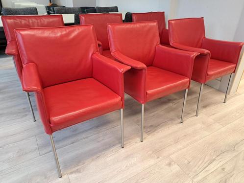6 prachtige rood lederen Design on stock Gola stoelen, Huis en Inrichting, Stoelen, Zo goed als nieuw, Vijf, Zes of meer stoelen
