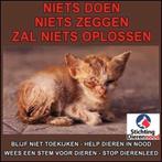 Katten accessoires te koop - je helpt er dieren in nood mee!, Ophalen of Verzenden, Nieuw