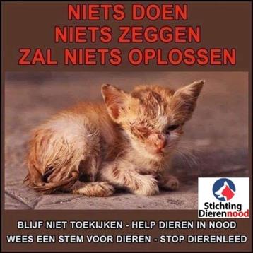 Katten accessoires te koop - je helpt er dieren in nood mee! beschikbaar voor biedingen