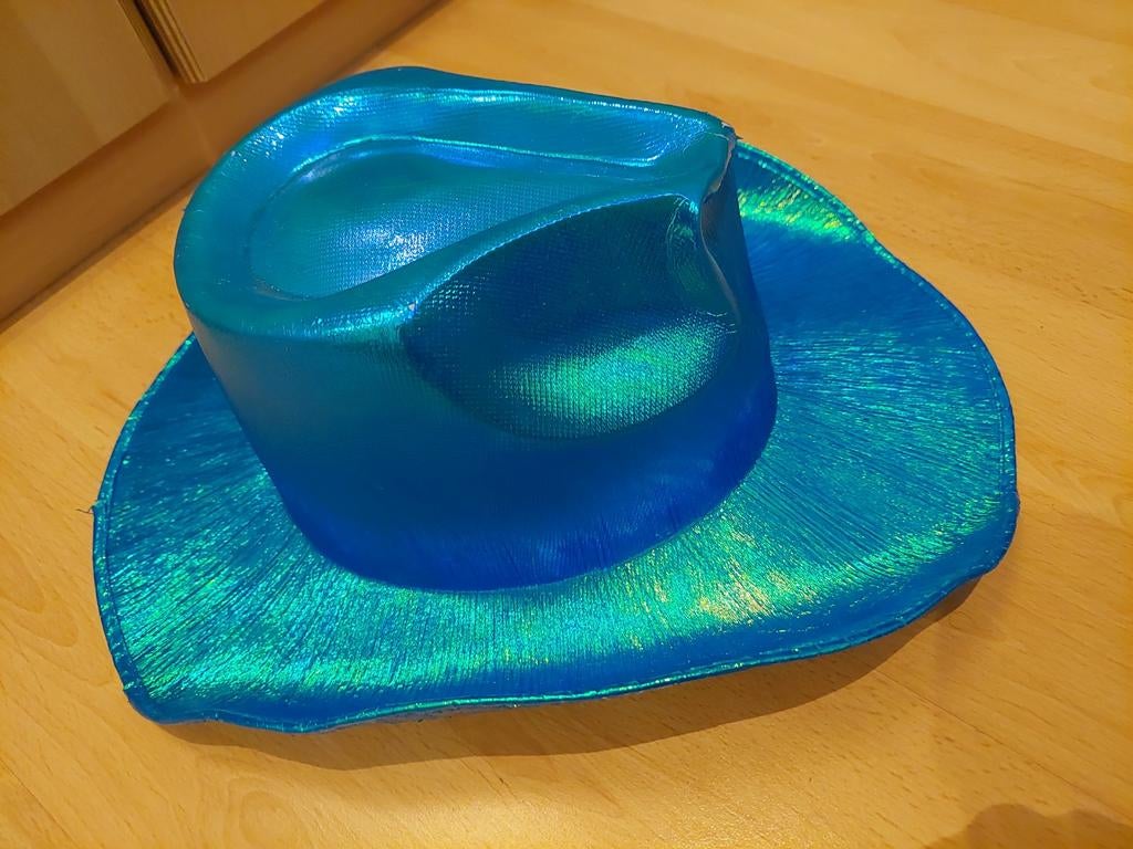Dames hoed carnaval, Ophalen of Verzenden, Zo goed als nieuw, One size fits all