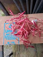 Roze Kerstlampjes - 50 stuks, Ophalen of Verzenden, Gebruikt