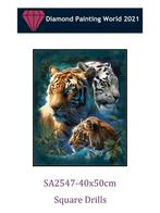Diamond painting 50x40 vierkante steentjes, Diamond painting world 2021@gmail.com, Nieuw, Ophalen of Verzenden, Knutselwerk