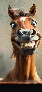 Leuke paarden hulp gezocht, Ophalen of Verzenden