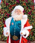 Kerstman Baardstel op tule, Ophalen of Verzenden, Zo goed als nieuw, Kerstmis of Sinterklaas, Accessoires