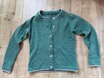 Mooi  Irelands Eye vestje , kashmir wol, Kleding | Dames, Truien en Vesten, Ophalen of Verzenden, Gedragen, Maat 38/40 (M), Groen