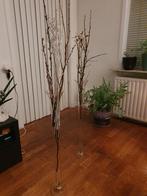 2 hoge vazen 80cm hoog, bovenkant 12 cm breed., Huis en Inrichting, Ophalen, Overige kleuren, 75 cm of meer, Glas