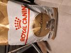 Royal Canin Maincoon Adult 10 kg, Dieren en Toebehoren, Dierenvoeding, Ophalen, Kat