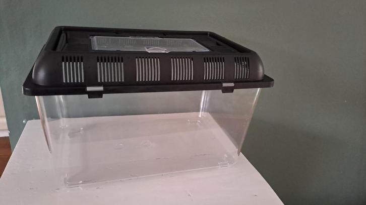 Plastic terrarium 30 x 20 x 16.5, Dieren en Toebehoren, Reptielen en Amfibieën | Toebehoren, Zo goed als nieuw, Terrarium of Paludarium