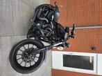 Harley davidson Iron 883, Motoren, Motoren | Harley-Davidson, 2 cilinders, Chopper, 883 cc, Particulier