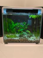Superfish home 40, Dieren en Toebehoren, Verzenden, Gebruikt, Leeg aquarium
