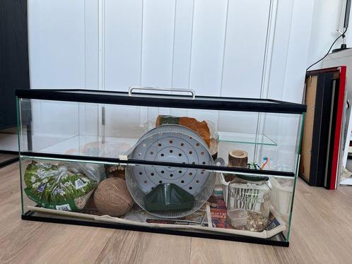 Knaagdier terrarium, Dieren en Toebehoren, Knaagdieren en Konijnen | Hokken en Kooien, Zo goed als nieuw, Hok, Minder dan 60 cm