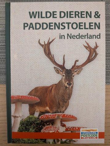 Wilde dieren & paddenstoelen in Nederland beschikbaar voor biedingen
