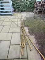 Wilgentenen 8 st - gratis, Ophalen, Volle zon, Overige soorten, Minder dan 100 cm