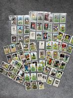 Vanderhout Belgie 1971-1972 stickers plaatjes ongebruikt 98%, Verzenden, Zo goed als nieuw, Buitenlandse clubs, Poster, Plaatje of Sticker