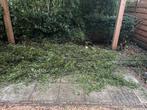 Bamboe stokken, Tuin en Terras, Gaas en Draad, Ophalen, Zo goed als nieuw, Minder dan 10 meter, Overige typen