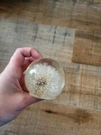 Presse papier paardenbloem in hars, Verzamelen, Mineralen en Fossielen, Ophalen of Verzenden