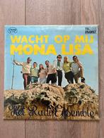 Het Radi Ensemble  vinyl lp  telstar favoriet, Ophalen of Verzenden, Gebruikt, Levenslied of Smartlap