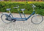 Van Raam tandem, Ophalen, Minder dan 10 versnellingen, Gebruikt, Minder dan 49 cm