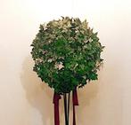 Kunstplant klimop bol op standaard | voor decoratie, Ophalen, Zo goed als nieuw