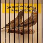 Mooi koppel bandvinken, Dieren en Toebehoren, Meerdere dieren