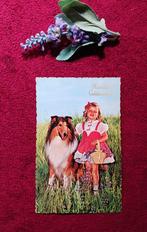 Kaart meisje met lassie hond / schotse collie (herder, Verzenden, 1960 tot 1980, Hond of Kat