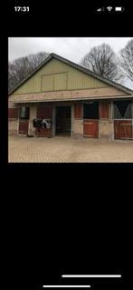 Stal te huur, Dieren en Toebehoren, Stalling en Weidegang