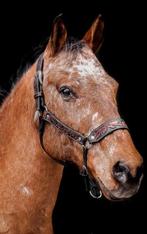 Mooi lederen Western halster met tooling - Maat Cob/Full, Dieren en Toebehoren, Ophalen of Verzenden, Zo goed als nieuw, Western