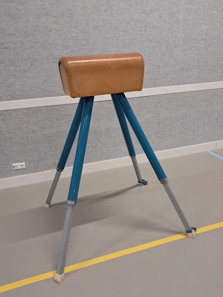 Turnbok hoog, Sport en Fitness, Turnen, Gebruikt, Overige typen, Groter dan maat 42, Blauw, Ophalen