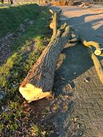 Acacia hout, Ophalen, Zo goed als nieuw, Plank, Overige houtsoorten