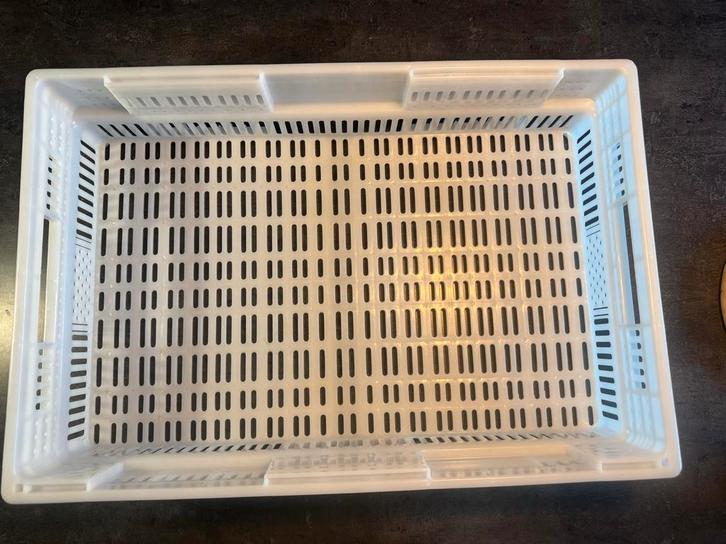 Witte Kunststof Geventileerde Krat - Stapelbaar nieuw, Doe-het-zelf en Verbouw, Kratten en Dozen, Gebruikt, Krat, 50 tot 75 cm
