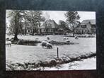 HALLUM  Weide vijver schapen huizen, Verzamelen, Ophalen of Verzenden, Voor 1920, Friesland