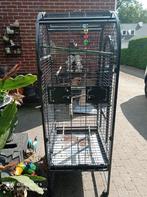 Papegaaienkooi🦜, Ophalen, Zo goed als nieuw, Metaal, Vogelkooi